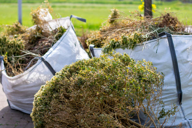 Reliable Queensland, MD Junk Removal Services Solutions